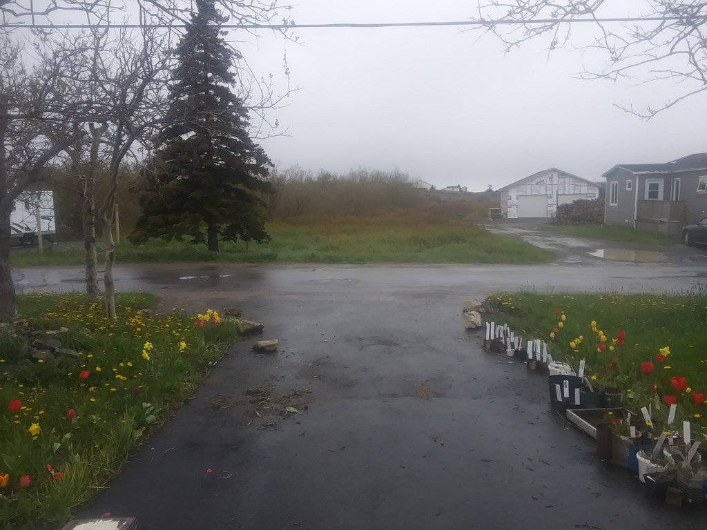 Christopher Greaves SecondEssays_20240606_102438.jpg